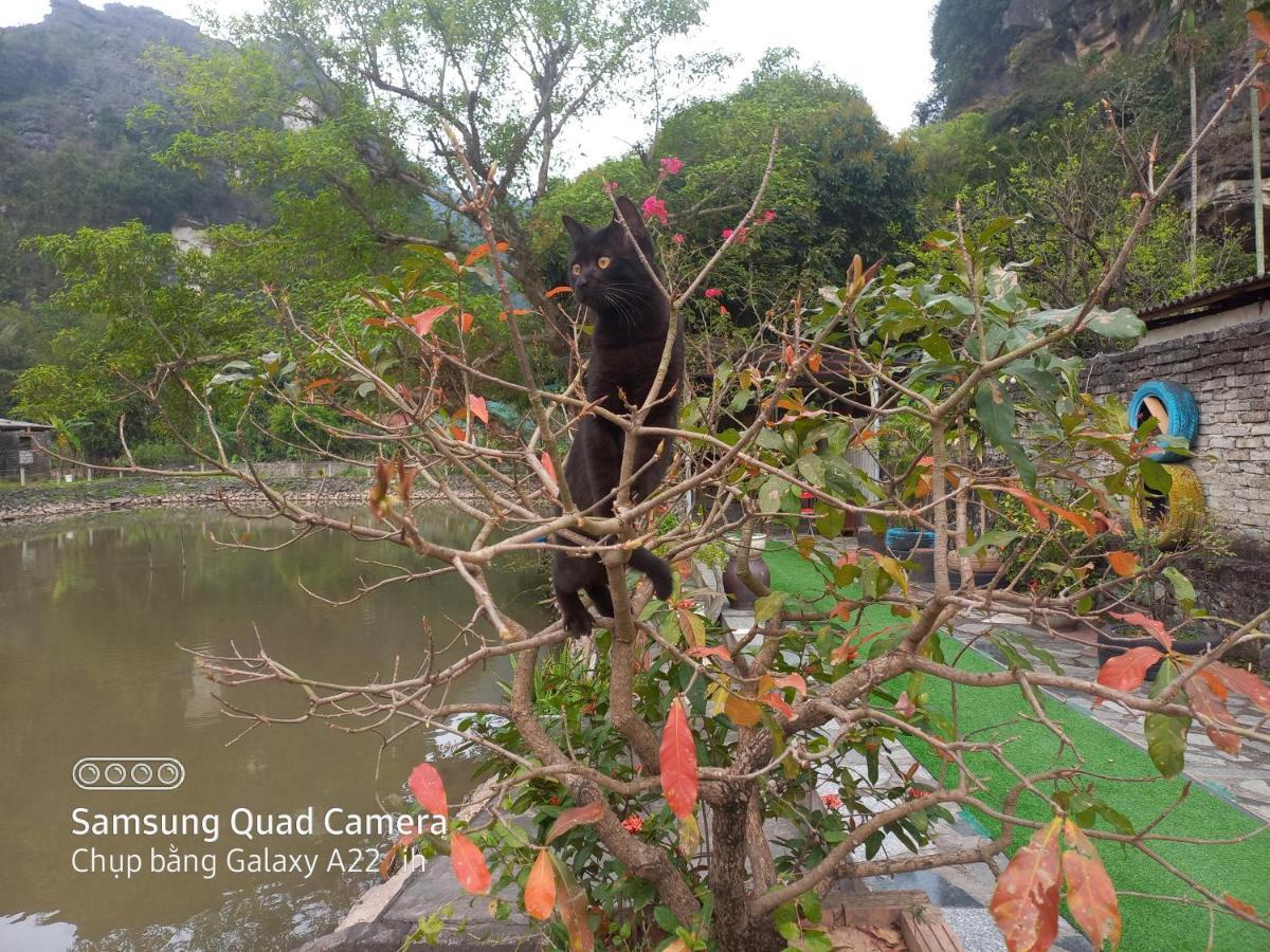 Trang An Pristine View Homestay Ninh Binh Zewnętrze zdjęcie